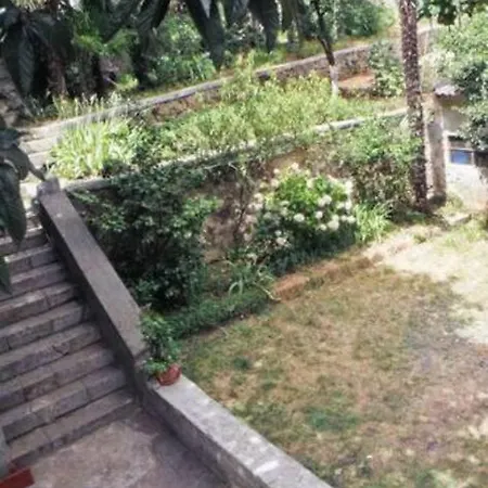 Lovely Loft Studio W Patio & Garden Apartment *